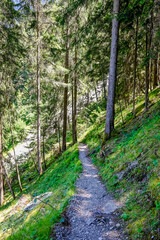 Thusis, Viamala, Schlucht, Hinterrhein, Fluss, Felswände, Wald, Waldweg, Wanderweg, Sommer, Graubünden, Schweiz