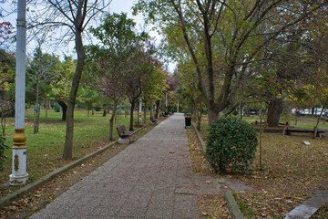 Desolate road in a park in autumn session, in Kadikoy, Istanbul 