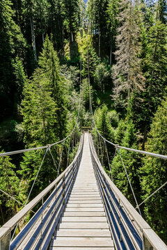 Thusis, Viamala, Schlucht, Hinterrhein, Fluss, Traversinersteg, Traversiner Tobel, Felsw&auml;nde, Wald, Waldweg, Wanderweg, Sommer, Graub&uuml;nden, Schweiz