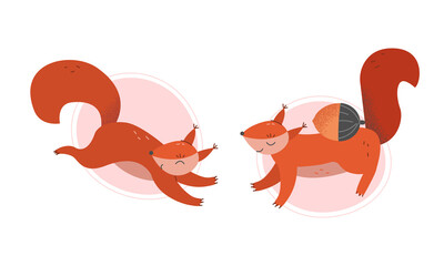 Furry Squirrel Animal with Bushy Tail and Red Coat Vector Set