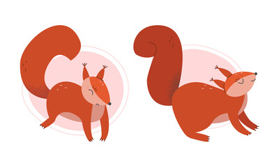 Furry Squirrel Animal with Bushy Tail and Red Coat Vector Set