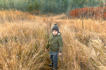 Naklejka na ściany i meble Little boy walks through the tall dry grass next to the forest. The frightened boy got lost in the forest.