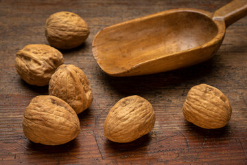English walnuts and a rustic wooden scoop against grunge weathered wood surface