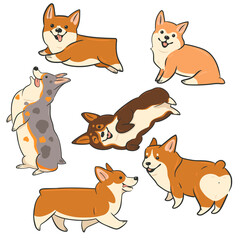 Set of cute dogs of the Corgi breed isolated on a white background. Vector graphics.