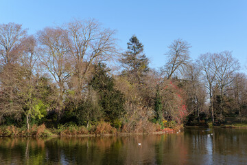 Fototapeta na wymiar Saint-Mandé lake in the Bois de Vincennes. Paris 12th arrondissement