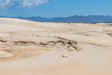 Fototapeta na wymiar Dunes and vegetation