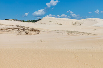 Dunes and vegetation