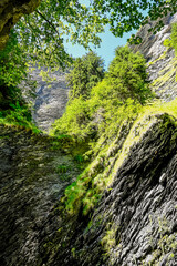 Thusis, Viamala, Schlucht, Hinterrhein, Fluss, Felsw&auml;nde, Wald, Waldweg, Wanderweg, Sommer, Graub&uuml;nden, Schweiz