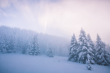 Fototapeta na wymiar paysage de neige en hiver à Chamrousse dans le massif de Belledonne dans les alpes en France