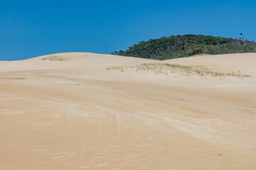 Dunes and vegetation