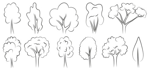 the set of images of forest trees. The set is made in black and white, in vector graphics