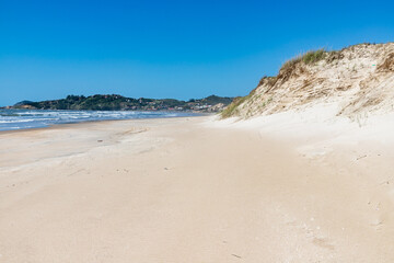 Fototapeta na wymiar Beach with dunes and vegetation
