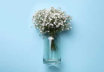 Bouquet of white gypsophila in glass vase on light blue background, top view