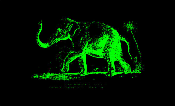 silhouette of a green elephant on a black background