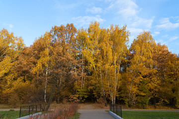 Golden autumn in the city park. Sunny October morning. Beautiful autumn landscape. Asphalt path in the park.
