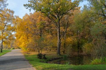 Golden autumn in the city park. Sunny October morning. Beautiful autumn landscape. A small pond and an asphalt path stretching into the distance.