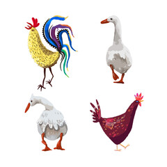 Farm birds set. Chicken, rooster and geese. Vector illustration in cartoon style