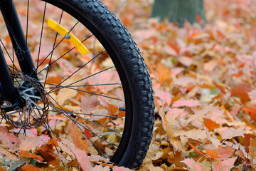 front wheel of a mountain bike. Mountain bike. stands on a forest road. concept of cycling, repair or breakage, sports, outdoor activities. bike on trail, front wheel in focus. space for text