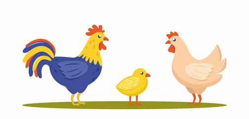 Farm birds family. Chicken, rooster, chick isolated on white background. Vector illustration.