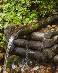 Mountain brook. Wooden log well.
