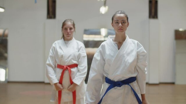 Front view of martial artsists demonstrating defending poses. Medium shot of focused and concentrated girls in kimonos practicing karate technique, preparing for championship together. Sport concept