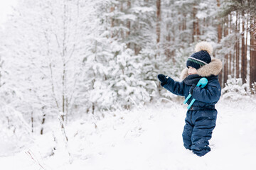 Fototapeta na wymiar Child walking in snowy spruce forest. Little kid boy having fun outdoors in winter nature. Christmas holiday. Cute toddler boy in blue overalls and knitted scarf and cap playing in park.