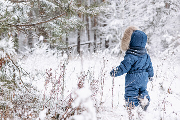 Child walking in snowy pine forest. Rear view of little kid boy having fun outdoors in winter nature. Christmas holiday. Cute toddler boy in blue overalls and knitted scarf and cap playing in park.