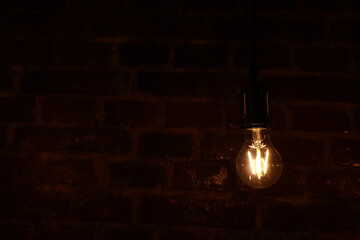 Decorative antique edison style light bulbs against brick wall background. Switched on bulbs