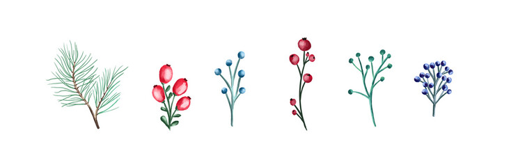 Christmas set of plants with flowers, spruce branches, leaves and berries.