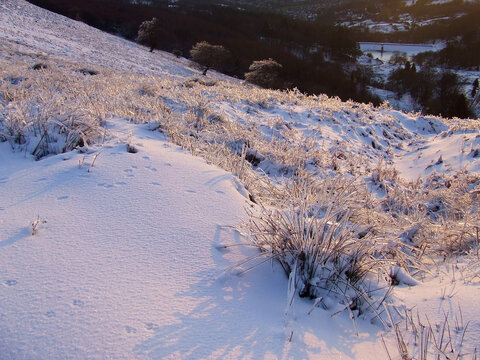 Morning sunlight glistening on the frozen tundra after a freezing rain storm on a hillside moorland near Twmbarlwm in Cwmbran, Wales, UK