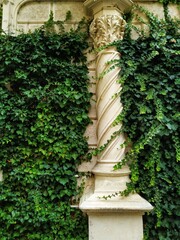 Architectural swirling column among the green ive branches