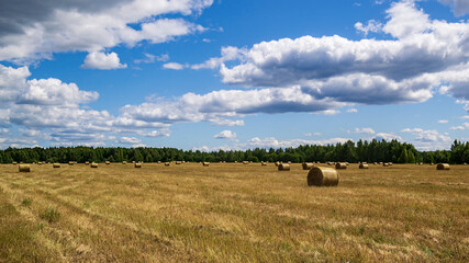 a field with straw bales