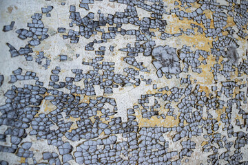 Naklejka premium texture of an old painted wall