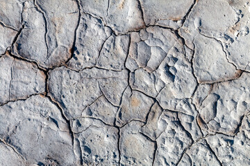 Dry and cracked mud soil