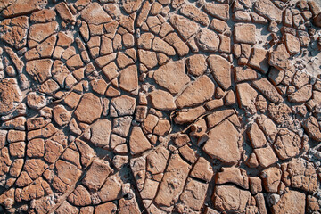 Dry and cracked mud soil