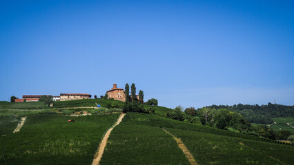 Fototapeta na wymiar Langhe, the famous wine region in Piedmont, Italy