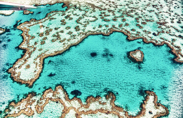 Aerial view of Heart Island, Whitsunday Islands Coral Reef of Queensland from the aircraft.