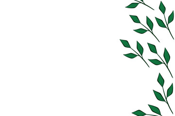 illustration of green leaves on a white background.  place for text.  article, header on the site.  print for packaging, gift paper, for postcards