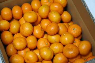 箱詰めみかん