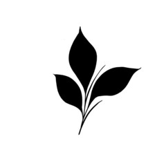 botany tattoo sketch - beautiful twig plant. Botanical element template for graphic design, wedding decor, textiles, souvenir gift, stationery print