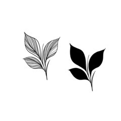 botany tattoo sketch - beautiful twig plant. Botanical element template for graphic design, wedding decor, textiles, souvenir gift, stationery print