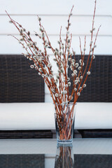 Spring decor in the house: fluffy willow twigs in a vase