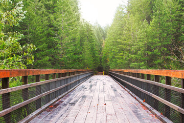 Wooden bridge in Vancouver Island, British Colombia, Canada