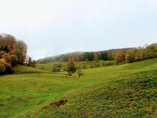 Fototapeta premium Grüne Landschaft mit Hügeln, Wiesen und Bäumen