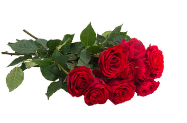 bouquet of red roses isolated