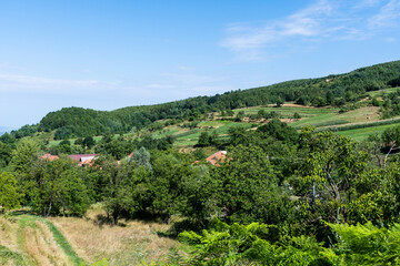 Fototapeta na wymiar Landscape view of the Chiscau area near the Bears cave. Bihor county, Romania.