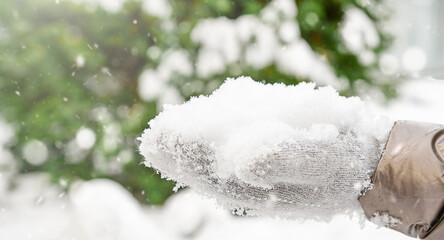 Hand in a mitten holds snow against the background of Christmas trees