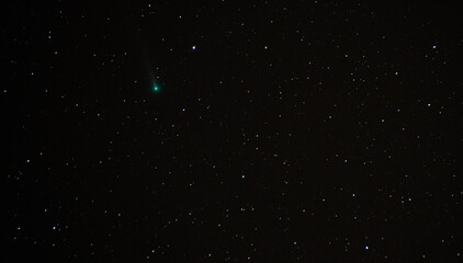 Comet Leonard in the constellation Boötes.  © Dan