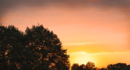 Fototapeta na wymiar Summer sunset sky on the background of trees
