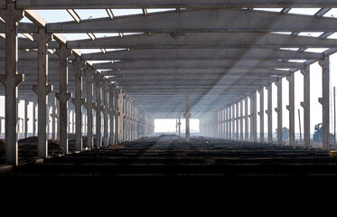 sunlight seeping through the newly built factory concrete